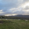 A photo